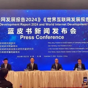 乌镇峰会发布蓝皮书 中国和全球互联网发展情况如何？