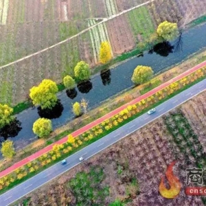 宁陵县依托22万亩生态梨园创新“生态康养+休闲度假”旅游模式