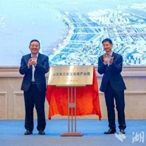 武汉长江新区临港产业园揭牌