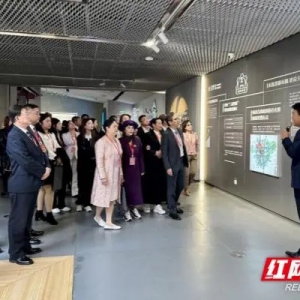 2024海外侨胞故乡行活动走进湘江新区 15家海外侨社团10名顾问签约