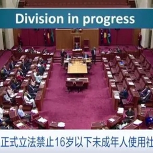 澳大利亚正式立法禁止16岁以下未成年人使用社交媒体