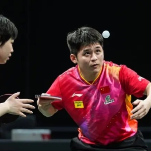 两连胜！乒乓混团世界杯中国8：0横扫印度