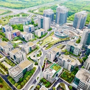 2024长三角品牌发展大会举行，专家：大水养大鱼，打造“长三角籍”品牌认知