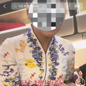 飞行途中出现老鼠，长安航空回应：已经抓到，并对飞机进行全面消杀