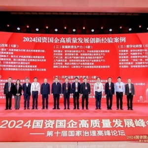 西北唯一！新区城投集团入选“2024国资国企高质量发展创新经验案例”