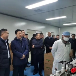 鲁西新区调研企业发展工作
