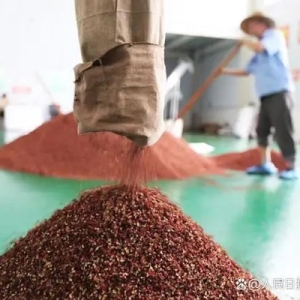 花椒贴肚脐能养生？专家：适合体质偏寒的人