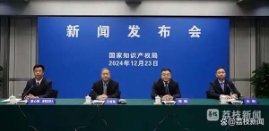 国家知识产权局：拟认定的2024年度专利密集型产品中 76%出自中小企业