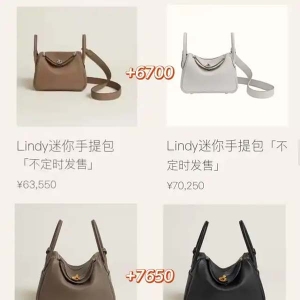 经典铂金包最低价破10万元 爱马仕全线涨价背后：奢侈品走向两极分化
