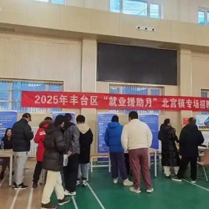 就业帮扶 真情相助——2025年丰台区“就业援助月”北宫镇专场招聘会