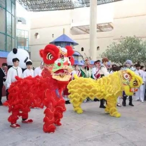 中外交流丨沙特举办“新春大集”迎接“中沙文化年”