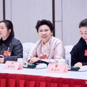 两会关键词丨以文化为翼，历史经典产业如何持续“破圈”？