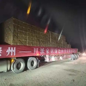 崇州家居首次规模化出海，100个集装箱5万件产品“驶向”美国