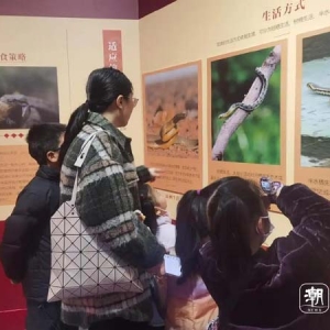 潮声丨博物馆里过大年，年味更有文化味