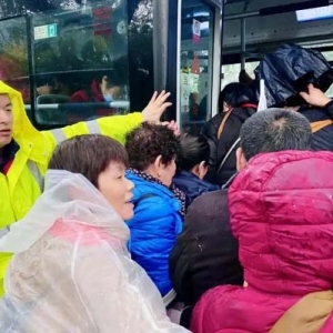 杭州公交单日运送景区客流破纪录，断桥、灵隐寺、雷峰塔周边很热门