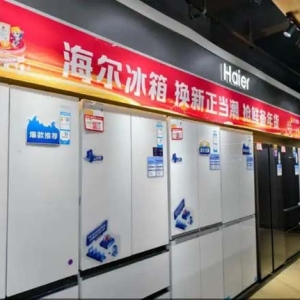 家电“换新潮”席卷小城：新国补激发消费活力，下沉市场热度超去年｜新春走基层