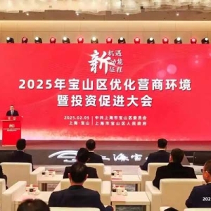 总投资近千亿元！宝山区积极打造适应产业需求的营商环境