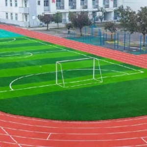 广东省教育厅：全面落实中小学生每天校园体育2小时