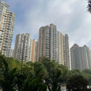 置业参考：2025年买房，这几点建议值得一看！