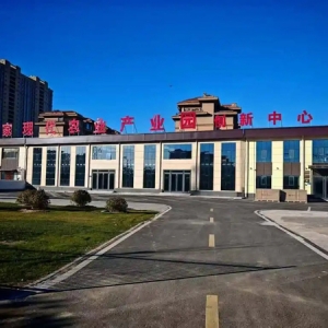 雄安新区雄县：“项”新图强，拼出高质量发展新气象