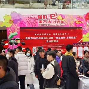 盘锦市2025年春风行动暨“情系桑梓 才聚故里”专场招聘活动举办
