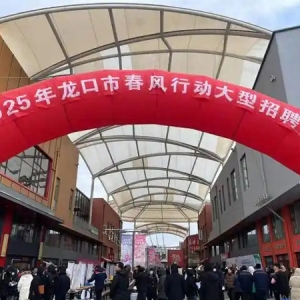 龙口市举办2025年“春风行动大型招聘会暨就业援助月”活动