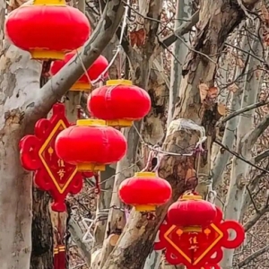 节气养生丨通阳气，防肝火，立春养护教你这两招