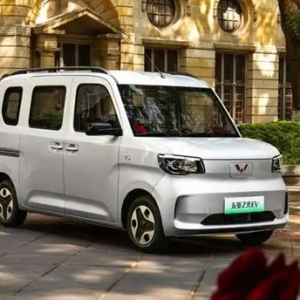 切入多用途新能源商用车赛道，五菱之光EV上市