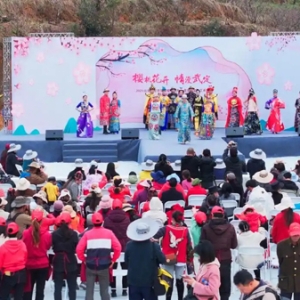 有一种叫云南的生活·旅居云南丨樱桃花已开 等你来打卡