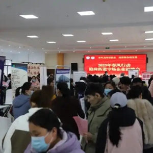 青岛西海岸新区隐珠街道举办2025年“春风行动”企业专场招聘会