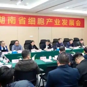 打造具有影响力的细胞产业集群 湖南省细胞产业发展座谈会举行