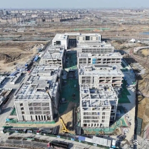 牵住承接疏解“牛鼻子” 推动城市发展上台阶——雄安新区项目建设一线观察