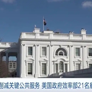 美国政府效率部21名雇员辞职：不愿帮助削减关键公共服务
