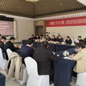 如何让安全产业成为国民经济的重要支柱产业，看看专家怎么说