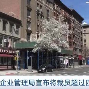 美国小企业管理局将裁员超40%，为联邦政府节省超4.35亿美元