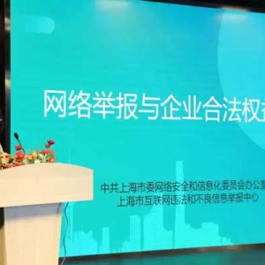 如何让流量优势服务企业发展？浦东新区举行优化营商网络环境主题日活动