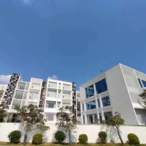 惠州博罗三家民宿上榜民宿品牌“奥斯卡”！