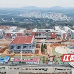 不负春光“项”前冲，湘江新区大王山片区项目建设热潮澎湃