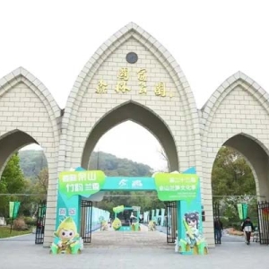 千年竹影暗藏玄机！佘山文旅季开启城市秘境