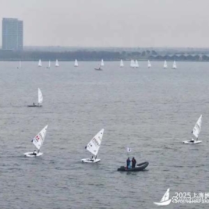 两周岁的上帆成了上海的国际化“烫金名片”