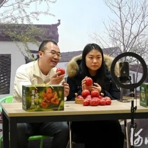 互联网经理返乡 种出“网红”西红柿