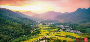 广州增城这个村全力打造“特色民宿名村” 绘就乡村共富新图景