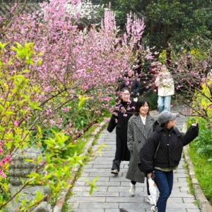 推动文旅商体展消费联动升级，浦东十大“桃”购商圈点燃春日经济
