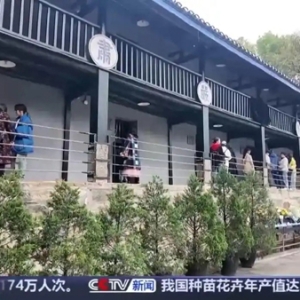 全国多地文旅数据出炉 清明期间这些红色景区受青睐