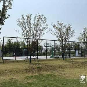 一直免费的篮球场为啥突然开始收费？杭州市民的疑惑解开了