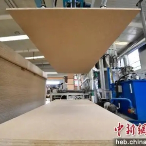 河北文安：绿色低碳建材产业成为经济增长新引擎