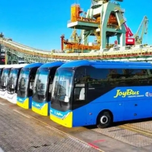 开门红！山东港口助力新能源汽车加速“出海”