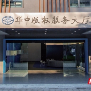 华中版权服务大厅：“国家队”助阵，赋能湖南“文化+科技”创新发展