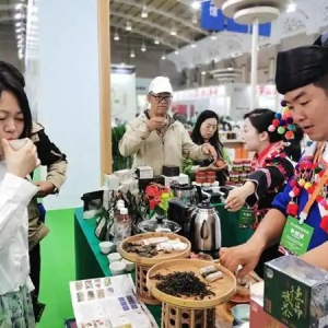 第十七届云茶博览交易会在滇池国际会展中心启幕