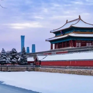 宋歌：穿梭于历史与未来的北京文化摆渡人